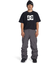 DC Banshee Pant 2025